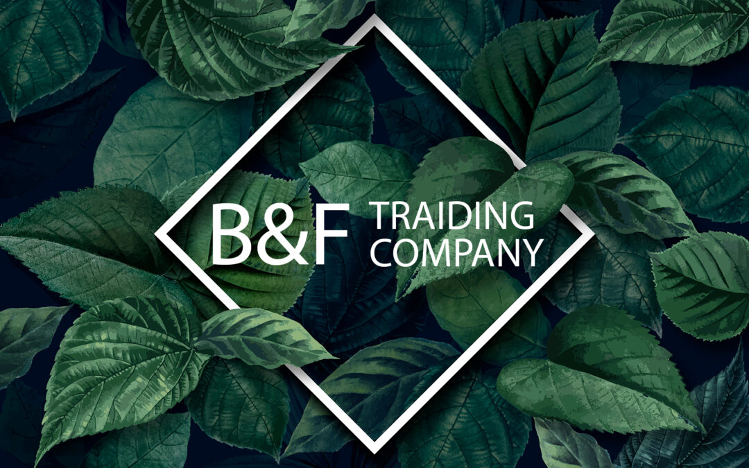 BF-Trading